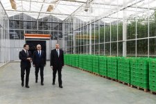 President Aliyev views work carried out in "Baku Agropark" in Zira settlement (PHOTO)