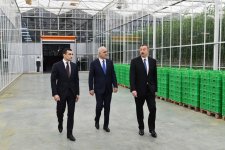 President Aliyev views work carried out in "Baku Agropark" in Zira settlement (PHOTO)