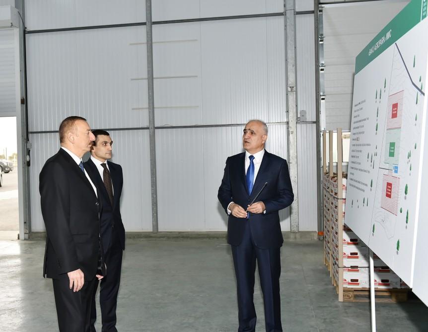 President Aliyev views work carried out in "Baku Agropark" in Zira settlement (PHOTO)