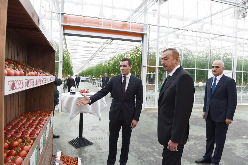 President Aliyev views work carried out in "Baku Agropark" in Zira settlement (PHOTO)
