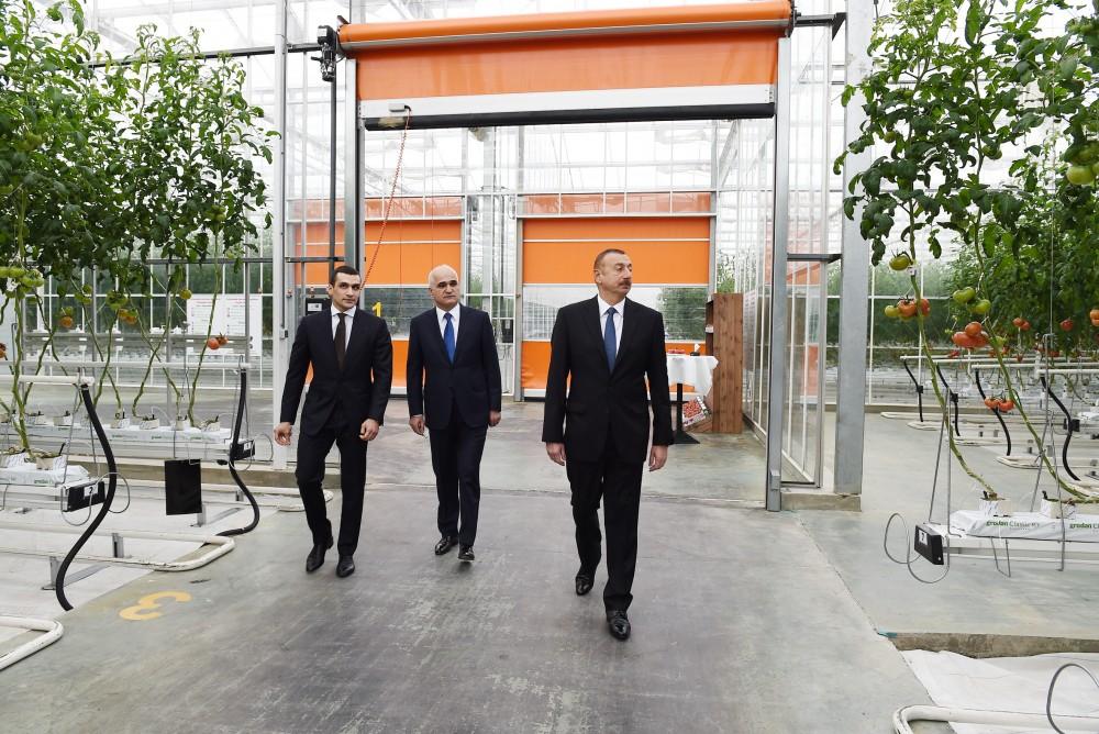 President Aliyev views work carried out in "Baku Agropark" in Zira settlement (PHOTO)