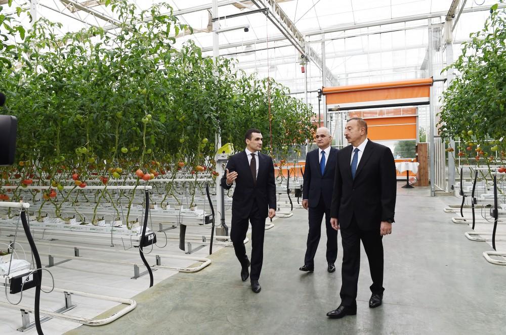 President Aliyev views work carried out in "Baku Agropark" in Zira settlement (PHOTO)