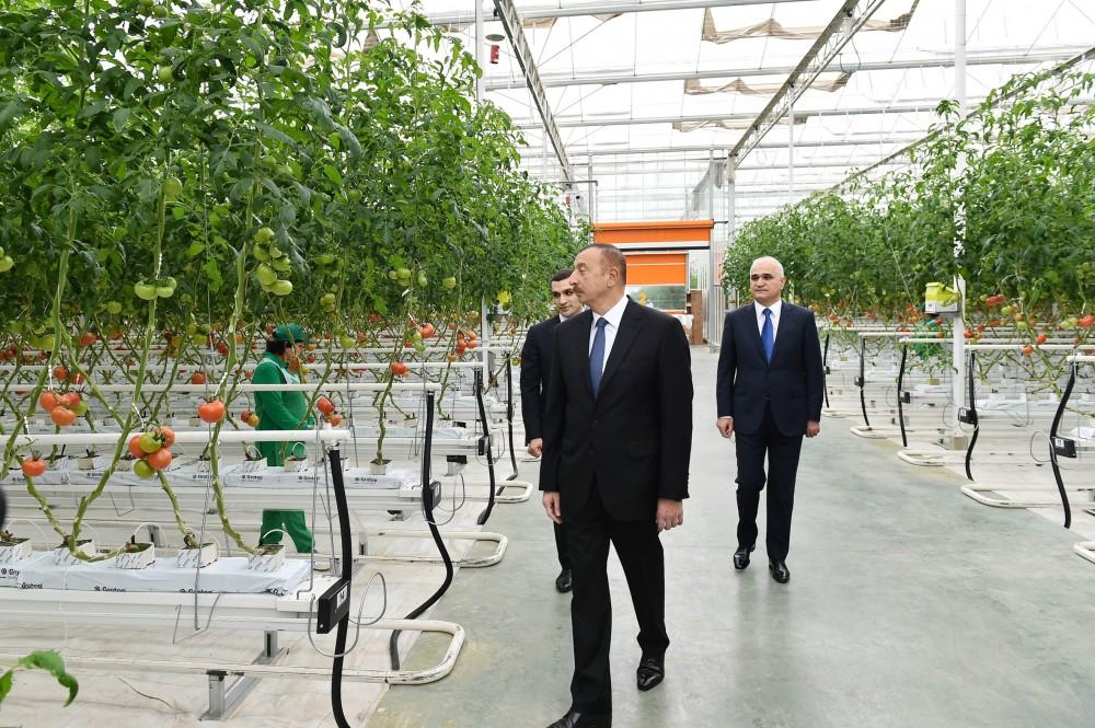 President Aliyev views work carried out in "Baku Agropark" in Zira settlement (PHOTO)