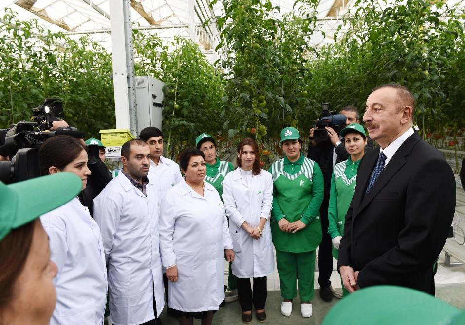 President Aliyev views work carried out in "Baku Agropark" in Zira settlement (PHOTO)