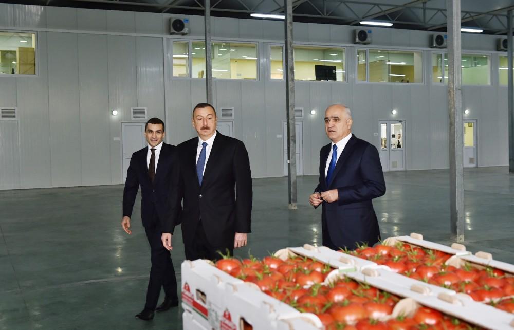 President Aliyev views work carried out in "Baku Agropark" in Zira settlement (PHOTO)