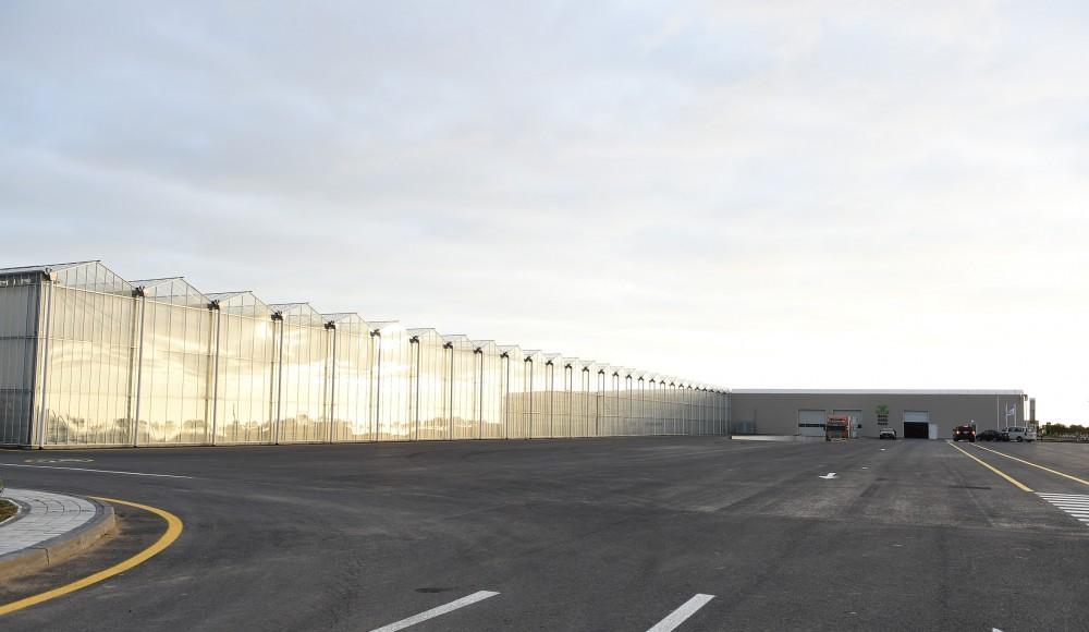 President Aliyev views work carried out in "Baku Agropark" in Zira settlement (PHOTO)