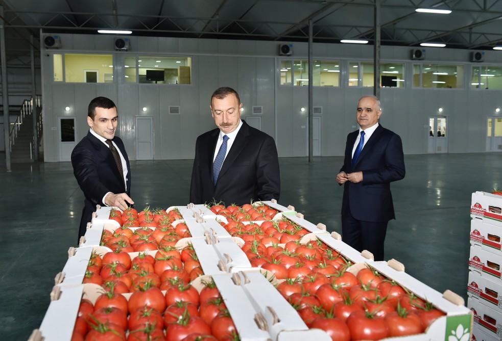 President Aliyev views work carried out in "Baku Agropark" in Zira settlement (PHOTO)