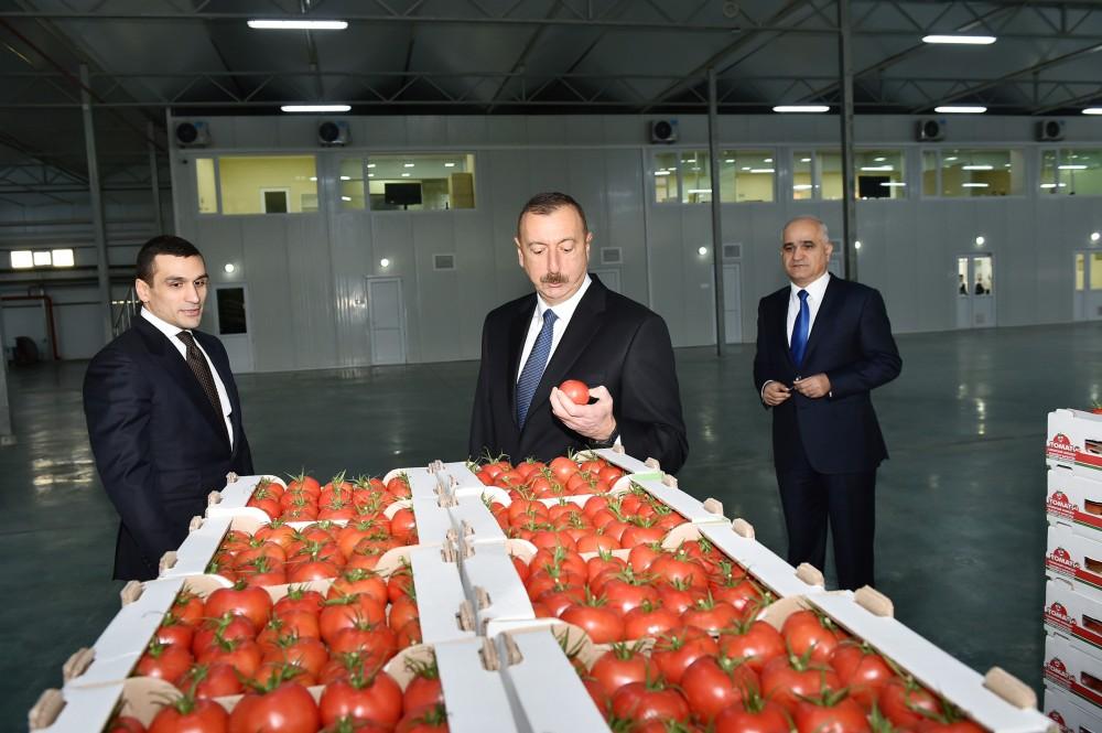 President Aliyev views work carried out in "Baku Agropark" in Zira settlement (PHOTO)