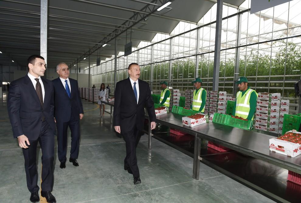 President Aliyev views work carried out in "Baku Agropark" in Zira settlement (PHOTO)
