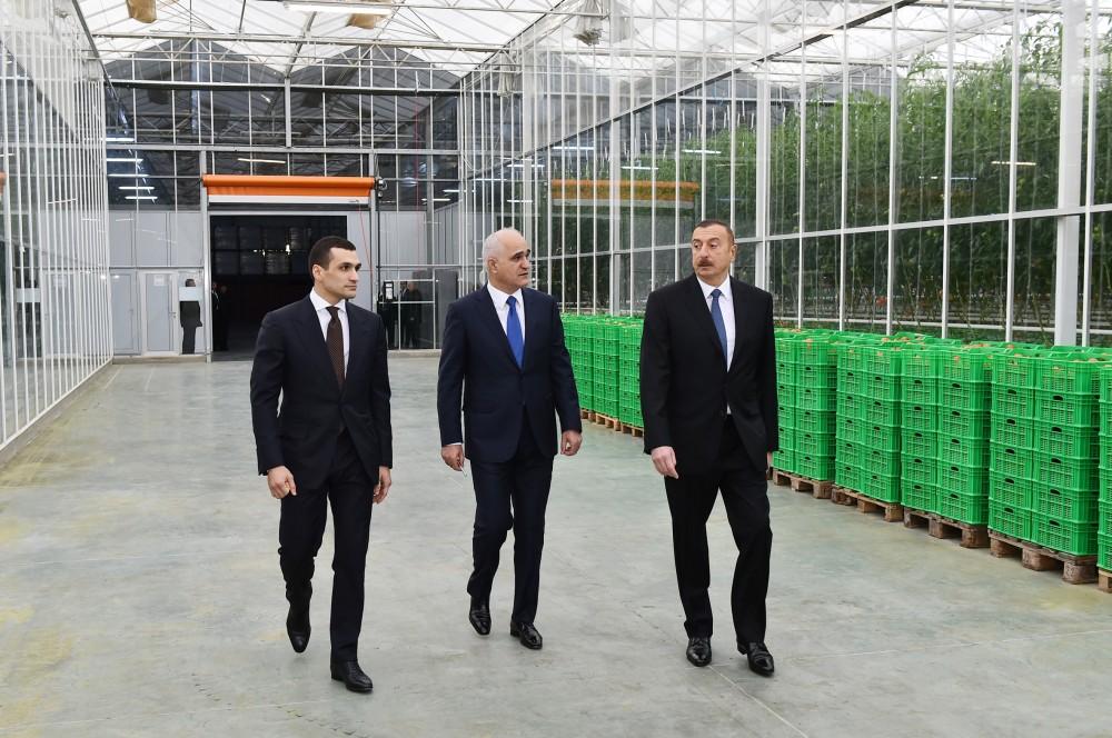 President Aliyev views work carried out in "Baku Agropark" in Zira settlement (PHOTO)