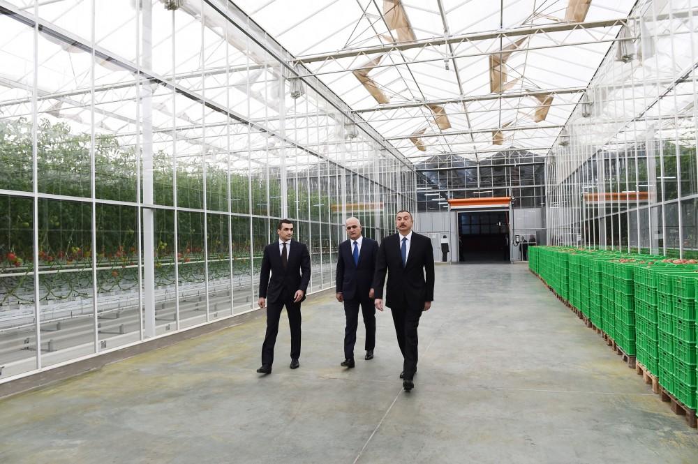 President Aliyev views work carried out in "Baku Agropark" in Zira settlement (PHOTO)