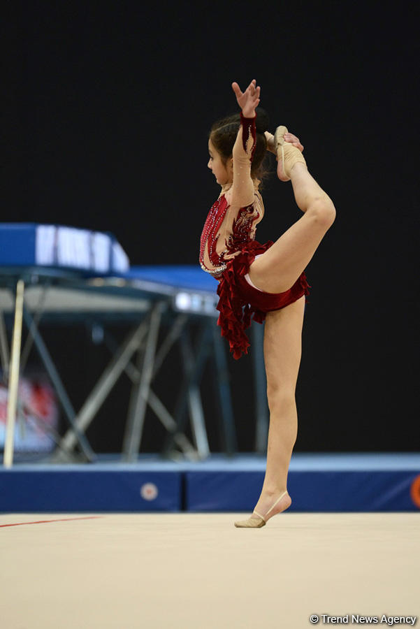 Day 2 of Azerbaijan Championships in Rhythmic Gymnastics, Trampoline kicks off (PHOTO)