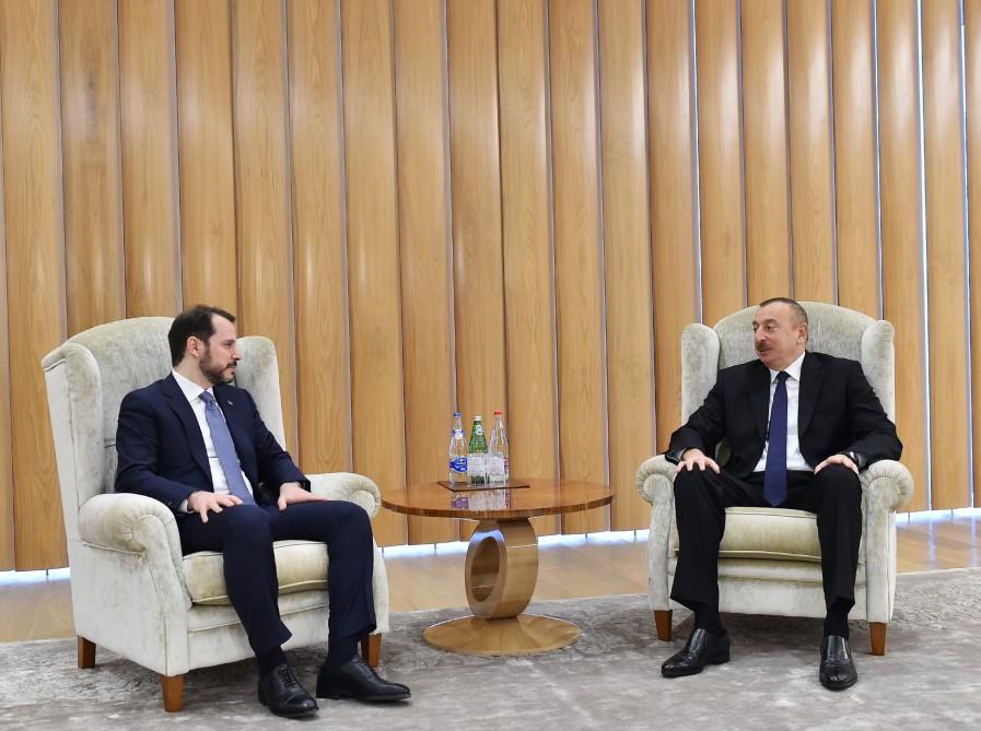 President Aliyev receives Turkish energy minister