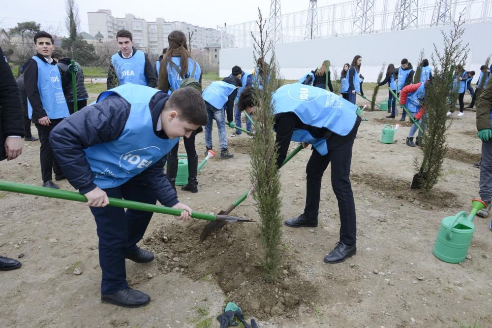 Leyla Aliyeva attends tree-planting event under Justice for Khojaly campaign (PHOTO)