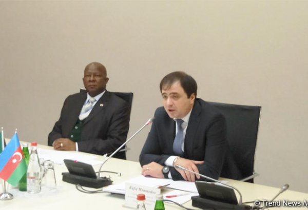 Azerbaijan interested in expanding trade turnover with South African Republic (PHOTO)