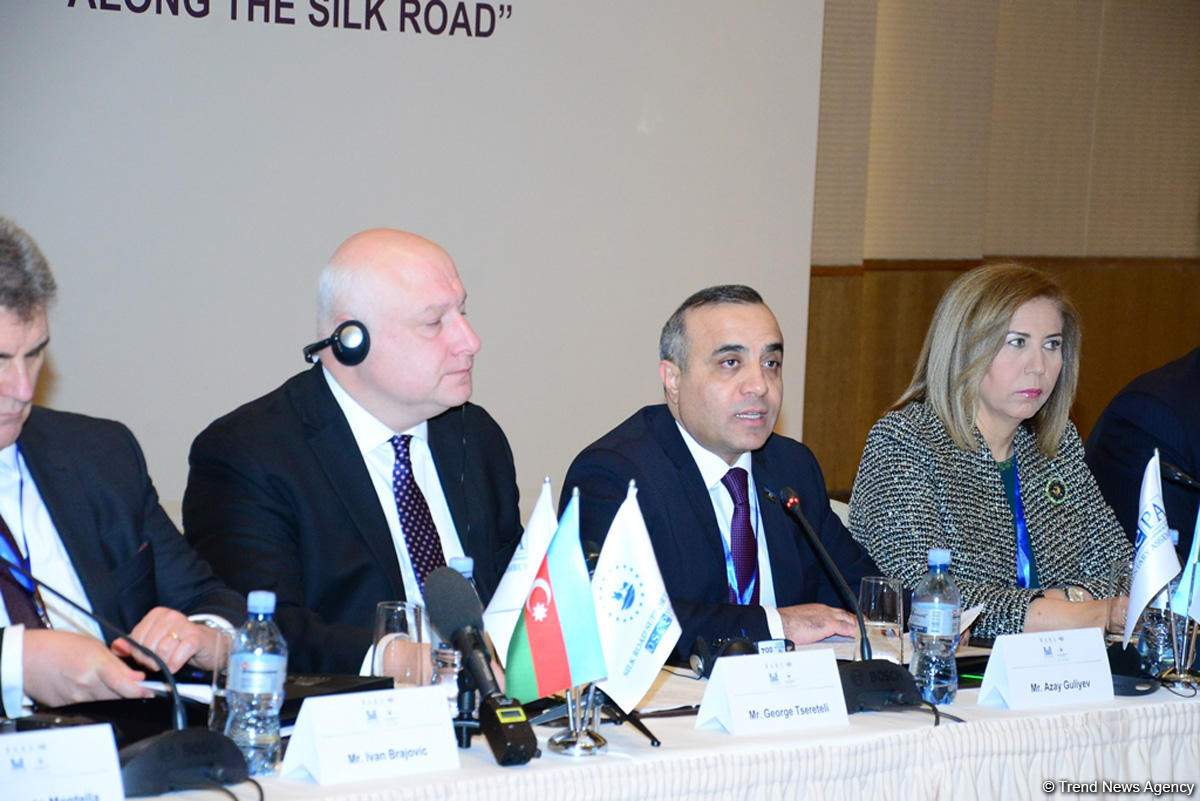 OSCE PA president talks Azerbaijan’s importance for Silk Road (PHOTO)