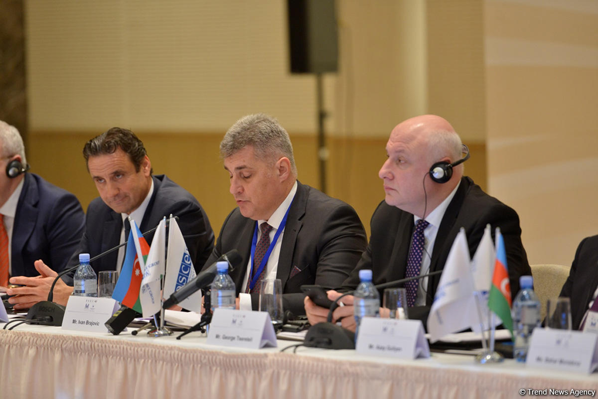 OSCE PA president talks Azerbaijan’s importance for Silk Road (PHOTO)