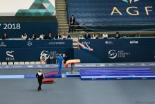 FIG Artistic Gymnastics World Cup opens in Baku (PHOTO)
