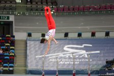 FIG Artistic Gymnastics World Cup opens in Baku (PHOTO)