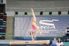 Day 2 of FIG Artistic Gymnastics World Cup kicks off in Baku (PHOTO)