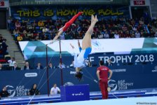 Day 2 of FIG Artistic Gymnastics World Cup kicks off in Baku (PHOTO)