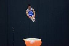 Best moments of FIG Artistic Gymnastics World Cup in photos