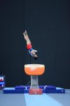 Best moments of FIG Artistic Gymnastics World Cup in photos