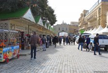 Novruz festivities in Baku (PHOTO)
