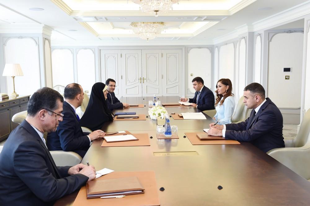 First VP Mehriban Aliyeva meets Iran's VP for Women and Family Affairs (PHOTO)