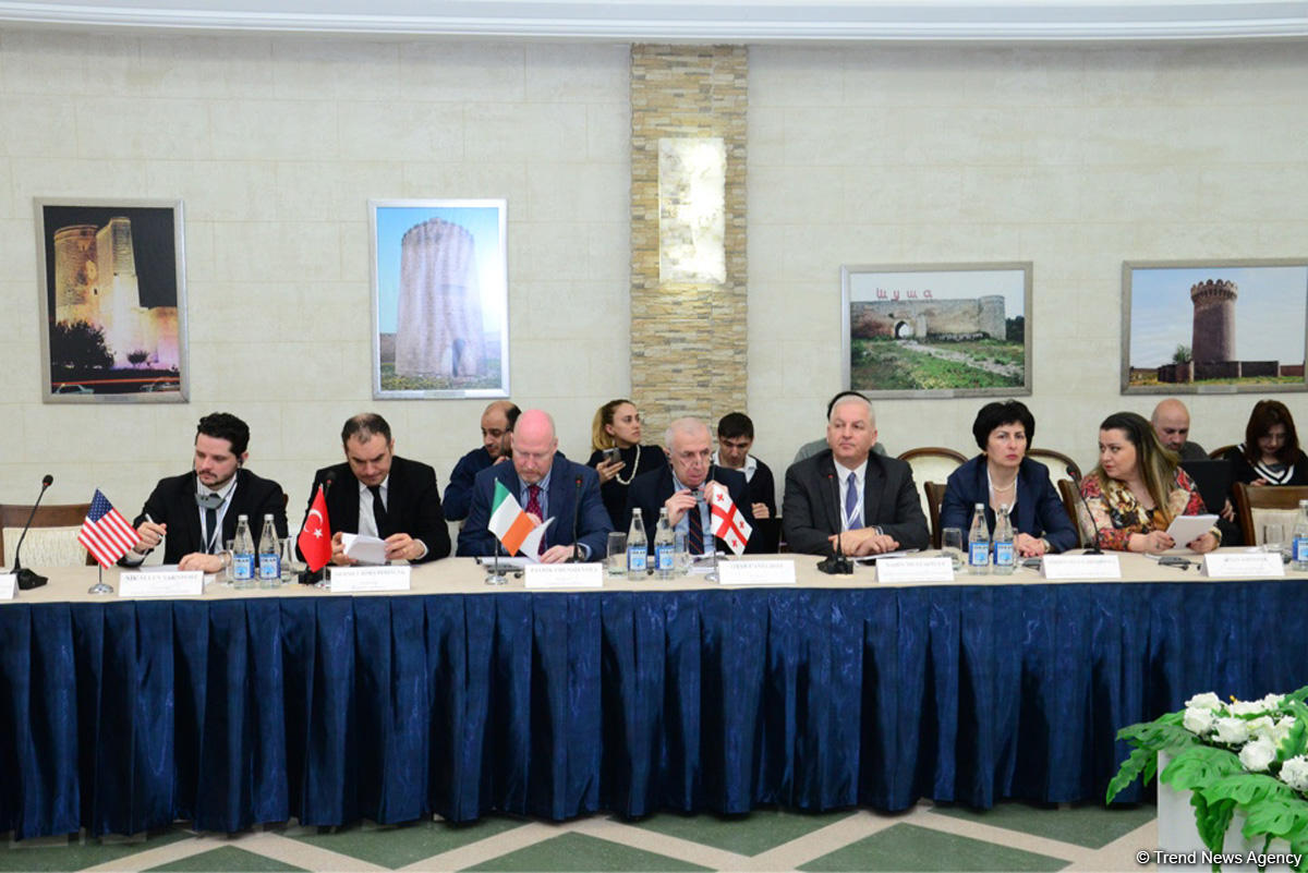 Turkish professor: Armenians - main culprits and participants in genocide in Caucasus region