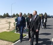 Ilham Aliyev, first lady attend tree-planting campaign on occasion of Azerbaijani national leader's birthday (PHOTO)