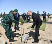 Ilham Aliyev, first lady attend tree-planting campaign on occasion of Azerbaijani national leader's birthday (PHOTO)