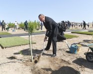 Ilham Aliyev, first lady attend tree-planting campaign on occasion of Azerbaijani national leader's birthday (PHOTO)