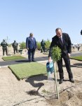 Ilham Aliyev, first lady attend tree-planting campaign on occasion of Azerbaijani national leader's birthday (PHOTO)