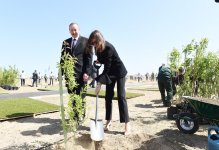 Ilham Aliyev, first lady attend tree-planting campaign on occasion of Azerbaijani national leader's birthday (PHOTO)