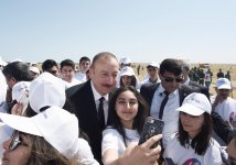 Ilham Aliyev, first lady attend tree-planting campaign on occasion of Azerbaijani national leader's birthday (PHOTO)