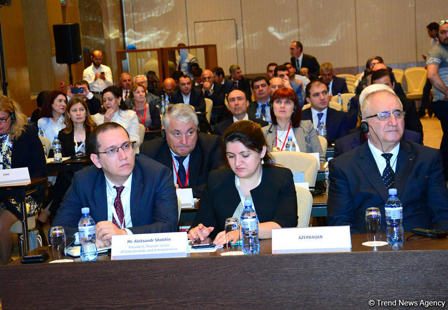 Azerbaijan to continue fighting against informal employment - minister (PHOTO)