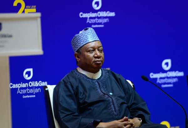 Mohammed Barkindo: OPEC expects to continue close co-op with Azerbaijan