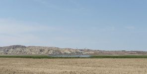 President Aliyev inaugurates Region Agro LLC in Goranboy (PHOTO)