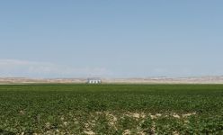 President Aliyev inaugurates Region Agro LLC in Goranboy (PHOTO)