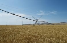President Aliyev inaugurates Region Agro LLC in Goranboy (PHOTO)