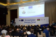 EU investments in Azerbaijan exceed $15 billion over past 5 years - Deputy Minister (PHOTO)