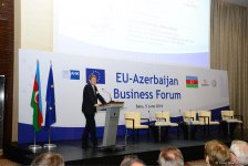 EU investments in Azerbaijan exceed $15 billion over past 5 years - Deputy Minister (PHOTO)