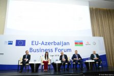 EU investments in Azerbaijan exceed $15 billion over past 5 years - Deputy Minister (PHOTO)