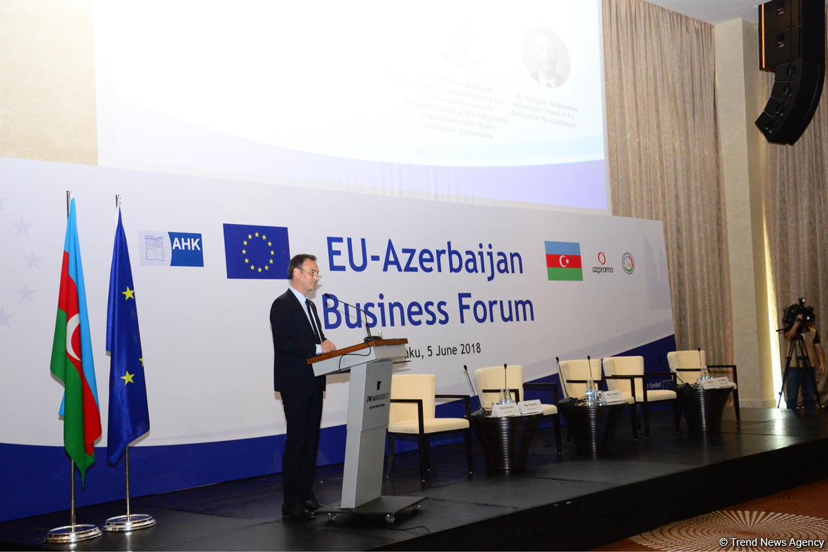 EU investments in Azerbaijan exceed $15 billion over past 5 years - Deputy Minister (PHOTO)