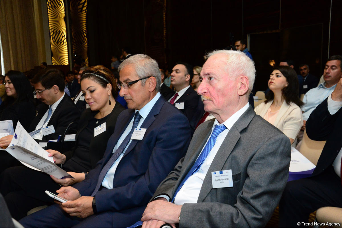 EU investments in Azerbaijan exceed $15 billion over past 5 years - Deputy Minister (PHOTO)