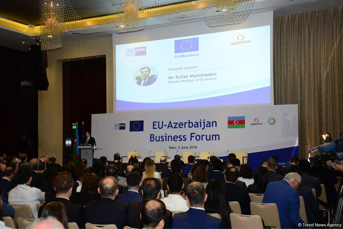 EU investments in Azerbaijan exceed $15 billion over past 5 years - Deputy Minister (PHOTO)
