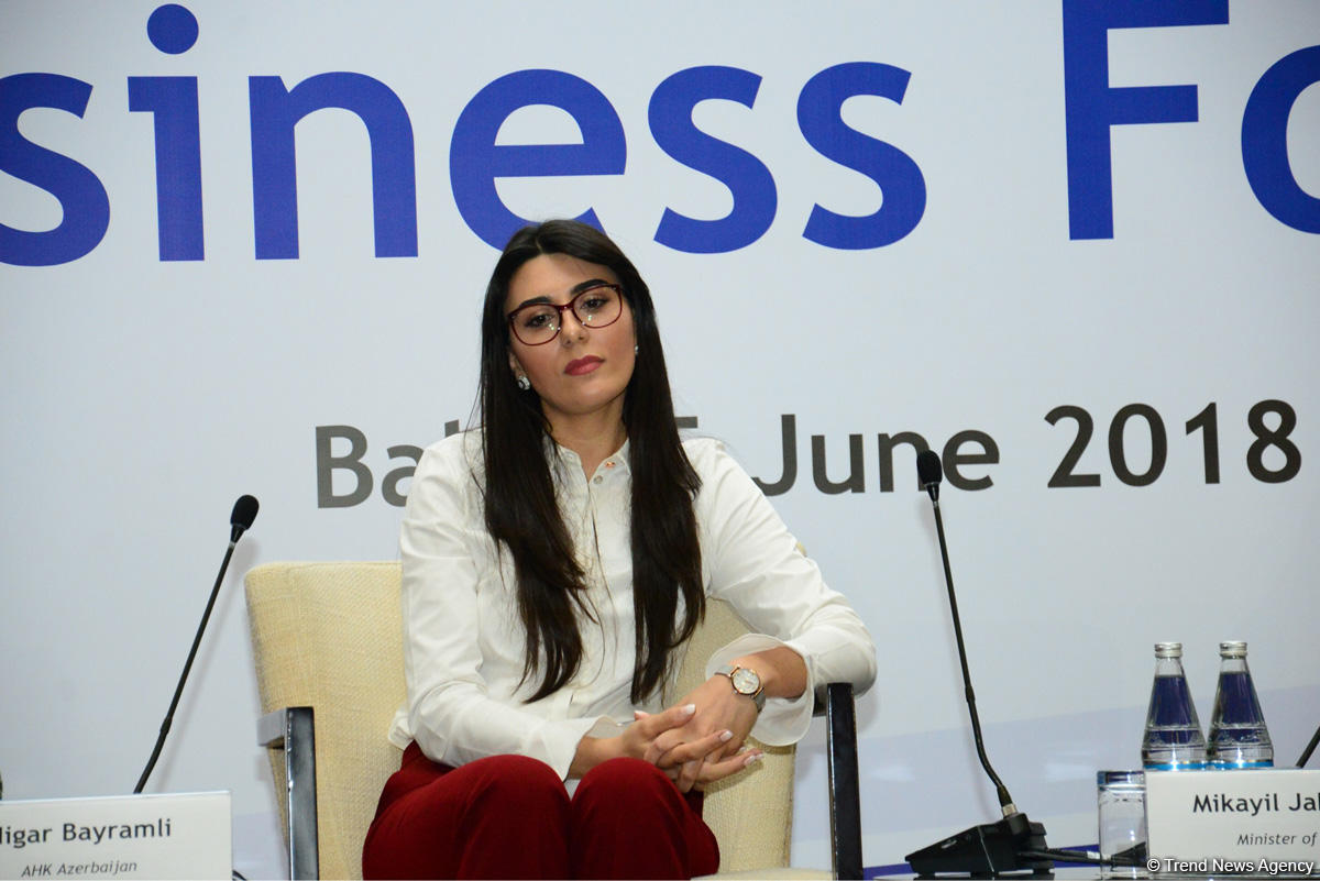EU investments in Azerbaijan exceed $15 billion over past 5 years - Deputy Minister (PHOTO)