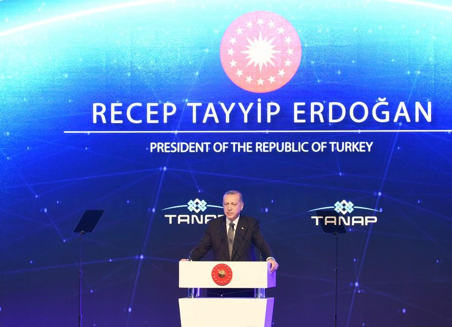 TANAP is indicator of trust between Azerbaijan, Turkey - Erdogan