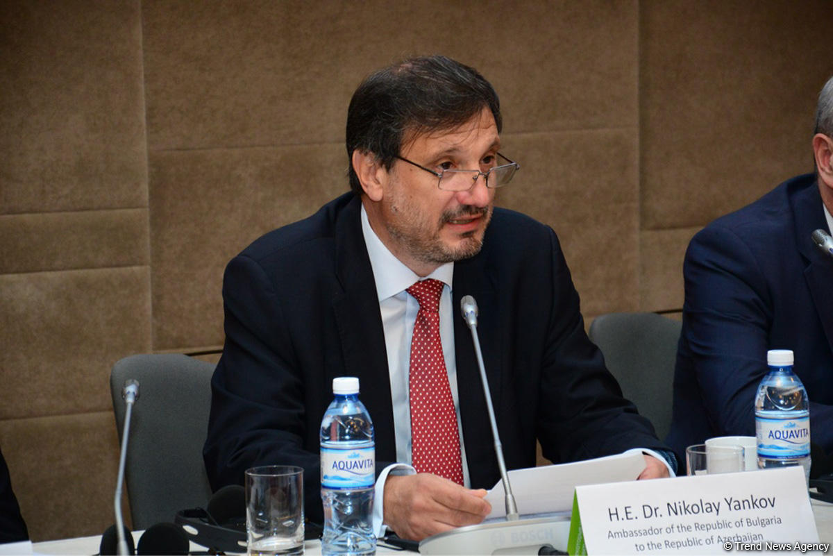 Azerbaijan - key partner in ensuring Europe’s energy security, envoy says